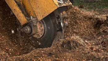 Stump Grinding for Titan Stump Grinders in Hendersonville, TN