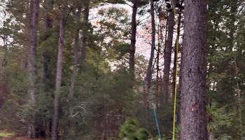 Tree Removal for Hawkins Tree Service & Land Management in Richmond Hill, GA