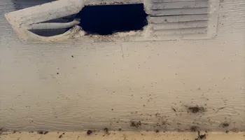 Residential Wildlife Control for The Critter Crew in DFW, TX