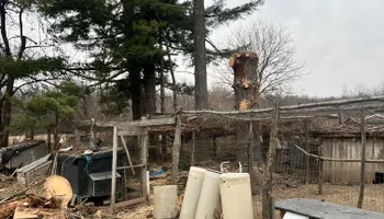 Tree Removal for Kadin’s Tree Service in North Vernon, IN