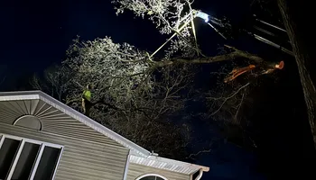 Tree Removal for Down To Earth Tree Service in Red Wing,  Minnesota