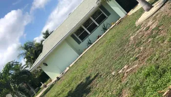 Stump Grinding for Rize N’ Grind  in Punta Gorda, FL