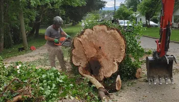Tree Removal for M&L Lumber and Excavating in Jonesborough, TN
