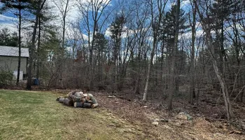 Tree Removal for Silver City Tree Service in Taunton, MA
