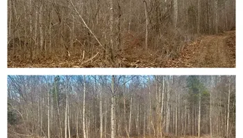 Land Clearing for Thickets Land Clearing & Excavation in Hohenwald, TN
