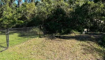 Fall Clean Up for Estrada All Pro Lawn Service in Auburndale, Florida