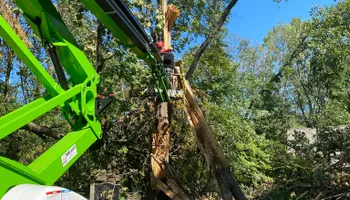 Tree Removal for Allstate Tree Service in Fridley, MN