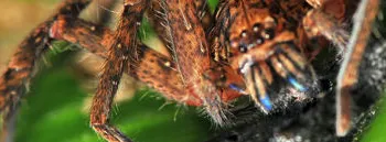 System Overview for Stonecreek Solutions in Sulphur Springs, TX