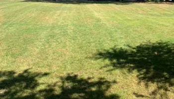 Mowing for Bega Landscape Services in Atlanta, Georgia