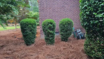 Mowing for 1 Man Does It Lawn Service in Blythewood, SC