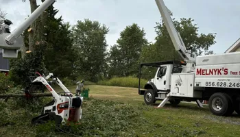 Tree Removal for Melnyk’s Tree Service in Salem County, NJ