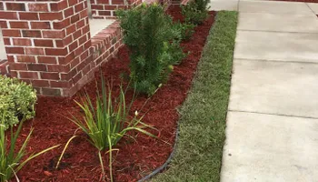 Tree Trimming for Professional Landscape & Irrigation in Pensacola, FL