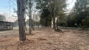 Land Clearing for Mud Creek Vegetation Management in Russellville, AL