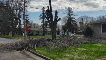 Tree Removal for Big River lawn Care services and snow LLC in Wausau, WI