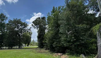 Tree Removal for Ayla Tree Service in Guyton, GA