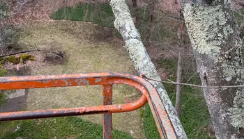 Tree Services for Hennessey Landscaping LLC in Oxford,  CT 