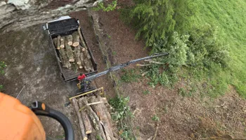Tree Removal for Smith Tree Experts in Palmyra, VA