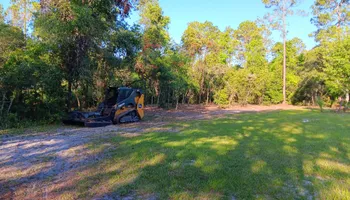 Tree Removal for Asbell's Tree & Land Services in Gilchrist County, FL