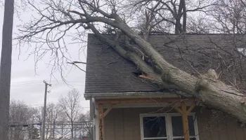 Tree Removal for Summit Tree Care LLC in Fort Wayne, IN