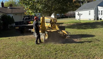 Tree Removal for Hingewood Tree Service in Salem, NJ