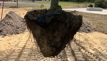 Sod Installation for Roberts Lawn & Landscape in Steinhatchee, FL