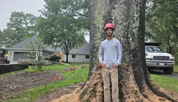 Tree Removal for Smith Tree Experts in Palmyra, VA