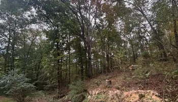 Tree Removal for SEALY TREE and LAWN in Cleveland, TN