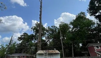 Tree Removal for JC Land and Tree Service in Kilgore, TX