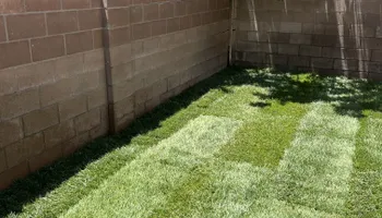 Residential Lawn Maintenance for 2 Brothers Landscaping in Albuquerque, NM