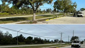 Tree Removal for Lemon Bay Tree Service  in Englewood, FL