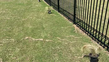 Lawn Maintenance for WD Lawn Services in Loganville, GA