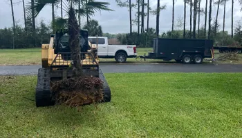 Sod Installation for Roberts Lawn & Landscape in Steinhatchee, FL