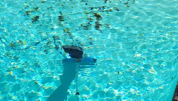Pool Maintenance for Fox Ridge Pools in Garland, TX