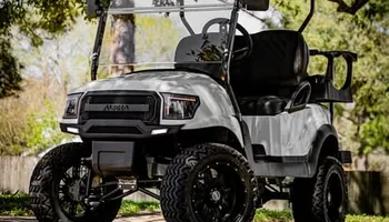 Gas Golf Carts  for CKD Golf Carts in League City, TX