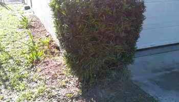 Mowing for All of the Above Landscaping in Orange Park, FL