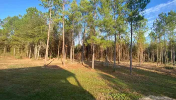 Land Clearing for South Mississippi Land Management LLC in Columbia, Mississippi