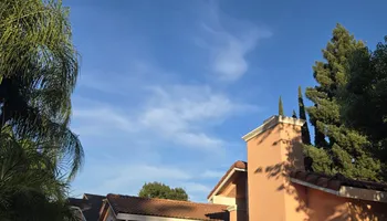 Tree Removal for Sammy's Tree Services in Sacramento, CA