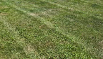 Lawn Maintenance for Vaske Lawn Care in Burlington, KY