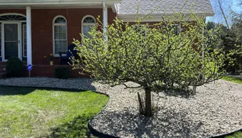 Lawn Care & Maintenance for Wilt Landscaping in Greenville, PA
