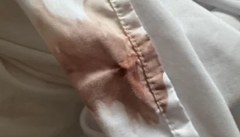 Residential Cleaning for A+ Cleaning and Services LLC in Deep Creek Lake, MD 