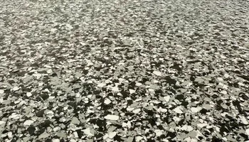 Hardwood Floors for Imperial Wood & Epoxy Flooring in Houston, TX