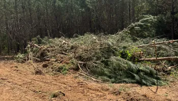 Land Clearing for A.P Land Management in Atlanta, Ga