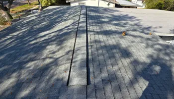 Roof Cleaning for Blue Stream Roof Cleaning & Pressure Washing in Tampa, FL