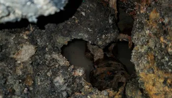 Plumbing Repairs for Southland Plumbing in Birmingham, AL