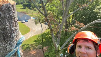Tree Trimming for Pinedown LLC in Cherokee County, GA