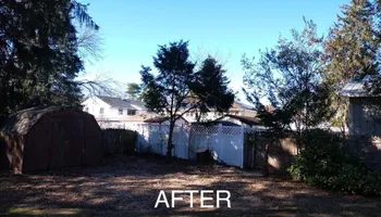 Tree Removal for Jason's Tree Service in Marlton, NJ