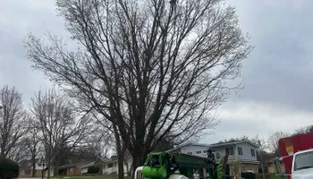 Tree Removal for Fransen's Tree Service  in Freeport, IL