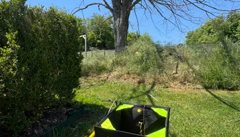 Tree Removal for Precision Cutz Tree Services, LLC in Coeburn, VA