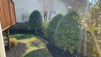 Landscape Design for Superior Lawn Solution in Coats, NC