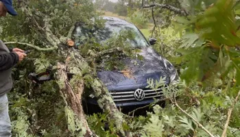 Grading And Leveling for Bernard’s Outdoor Services in Greeneville, TN
